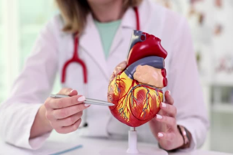 Cardiology-