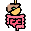 Gastroenterology